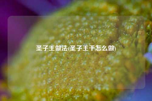 圣子王做法(圣子王干怎么做)