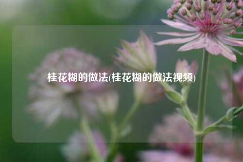 桂花糊的做法(桂花糊的做法视频)