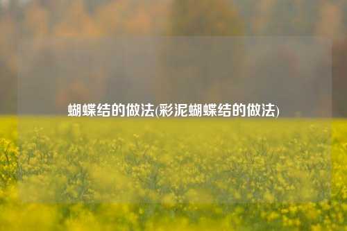 蝴蝶结的做法(彩泥蝴蝶结的做法)