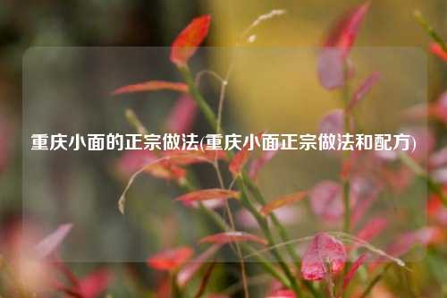 重庆小面的正宗做法(重庆小面正宗做法和配方)