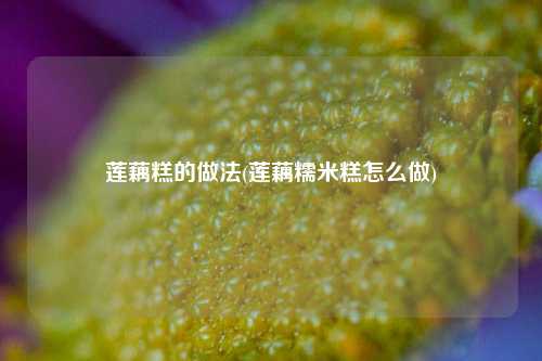 莲藕糕的做法(莲藕糯米糕怎么做)