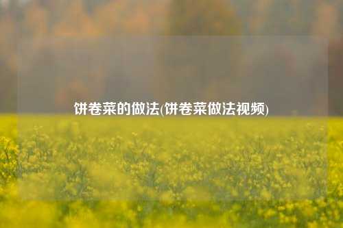 饼卷菜的做法(饼卷菜做法视频)