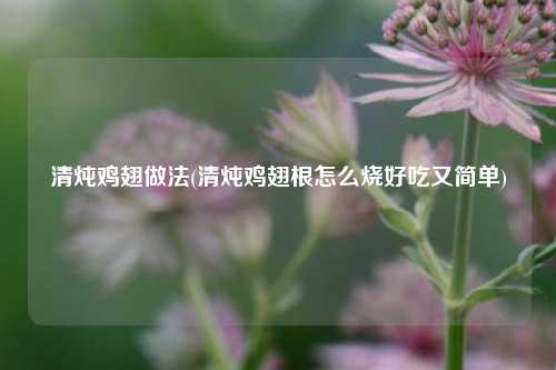 清炖鸡翅做法(清炖鸡翅根怎么烧好吃又简单)