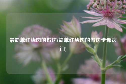 最简单红烧肉的做法(简单红烧肉的做法步骤窍门)