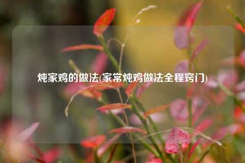 炖家鸡的做法(家常炖鸡做法全程窍门)