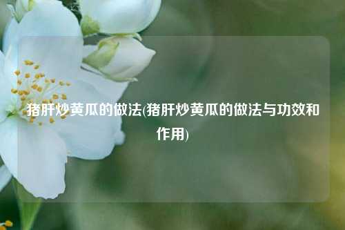 猪肝炒黄瓜的做法(猪肝炒黄瓜的做法与功效和作用)